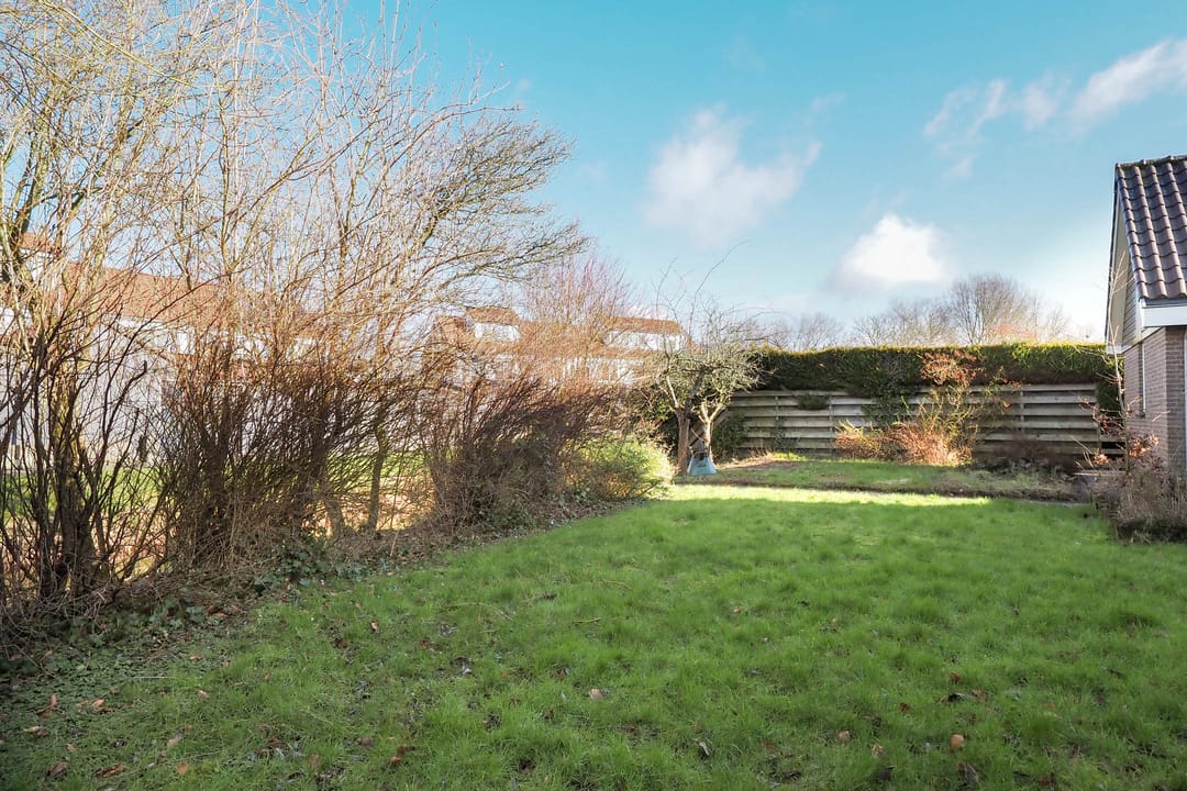 Photo 62 of Zwanebloem 1