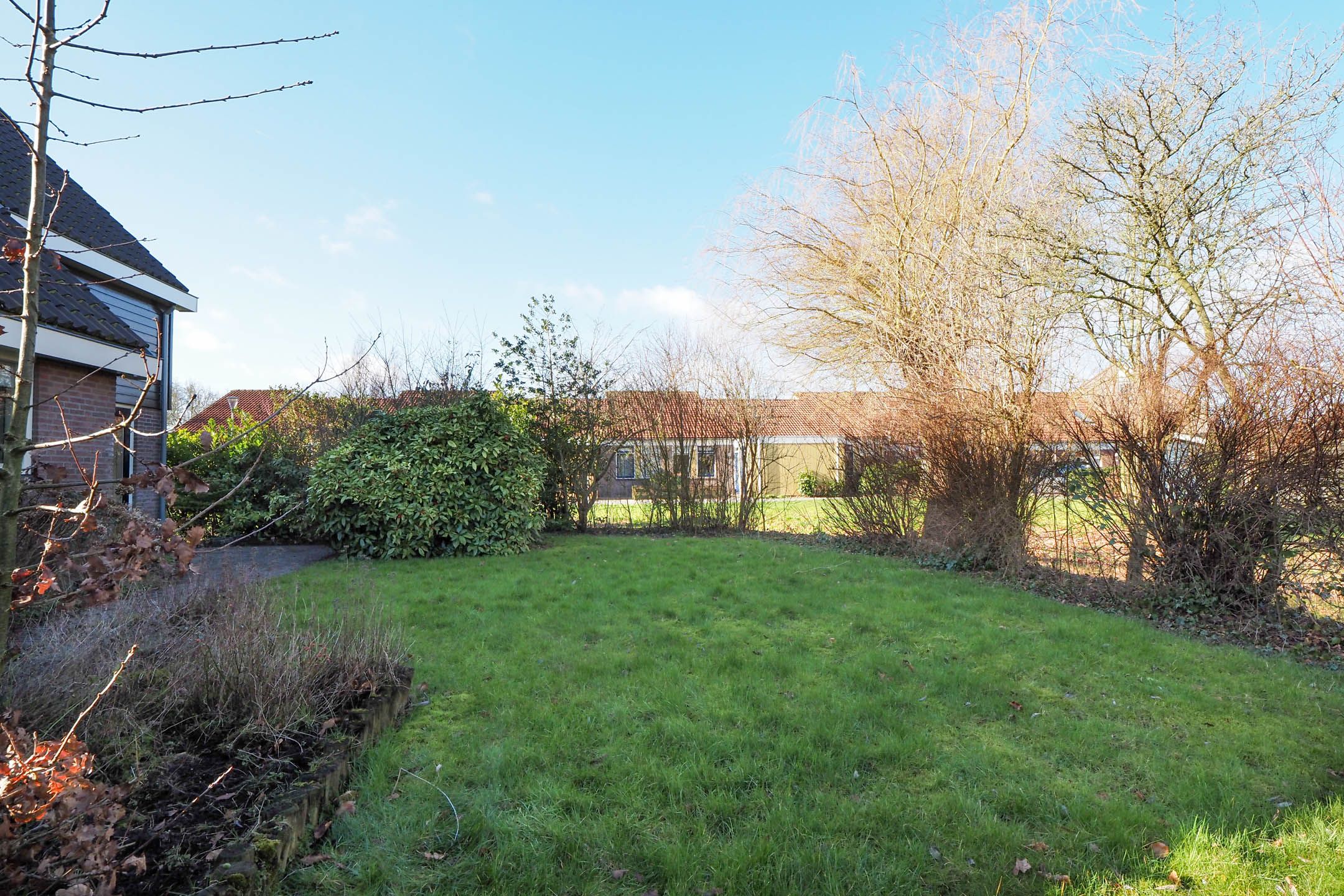 Photo 63 of Zwanebloem 1