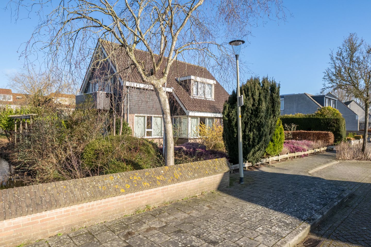 Photo 65 of Zwanebloem 1