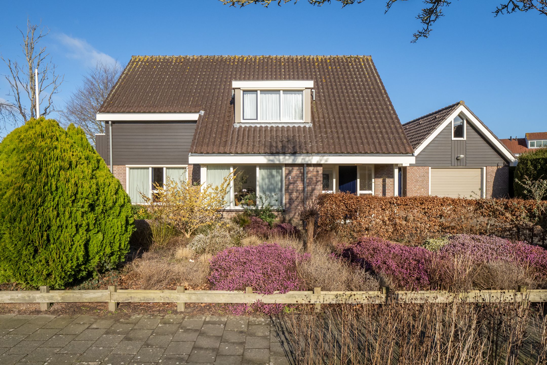 Photo 66 of Zwanebloem 1