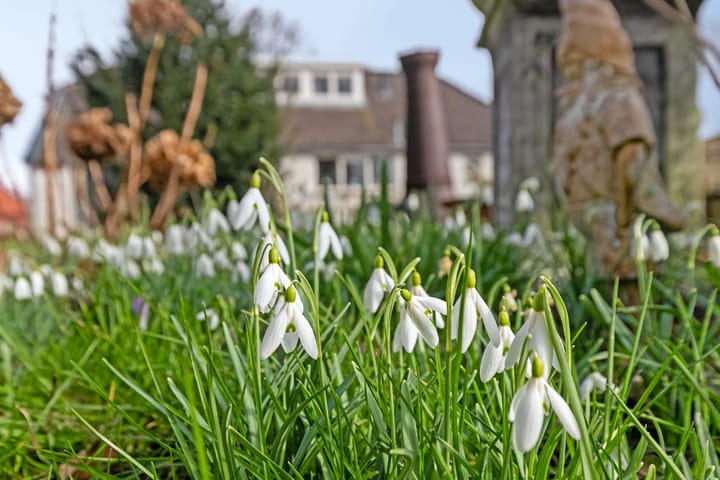 Foto 50 van Poelweg 25