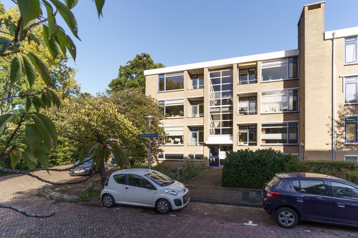 Van der Haertstraat 62 main image