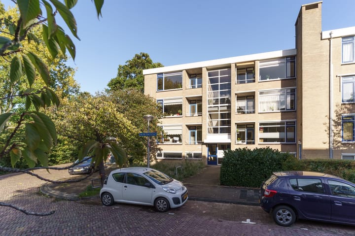 Foto 1 van Van der Haertstraat 62