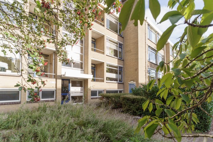 Foto 2 van Van der Haertstraat 62