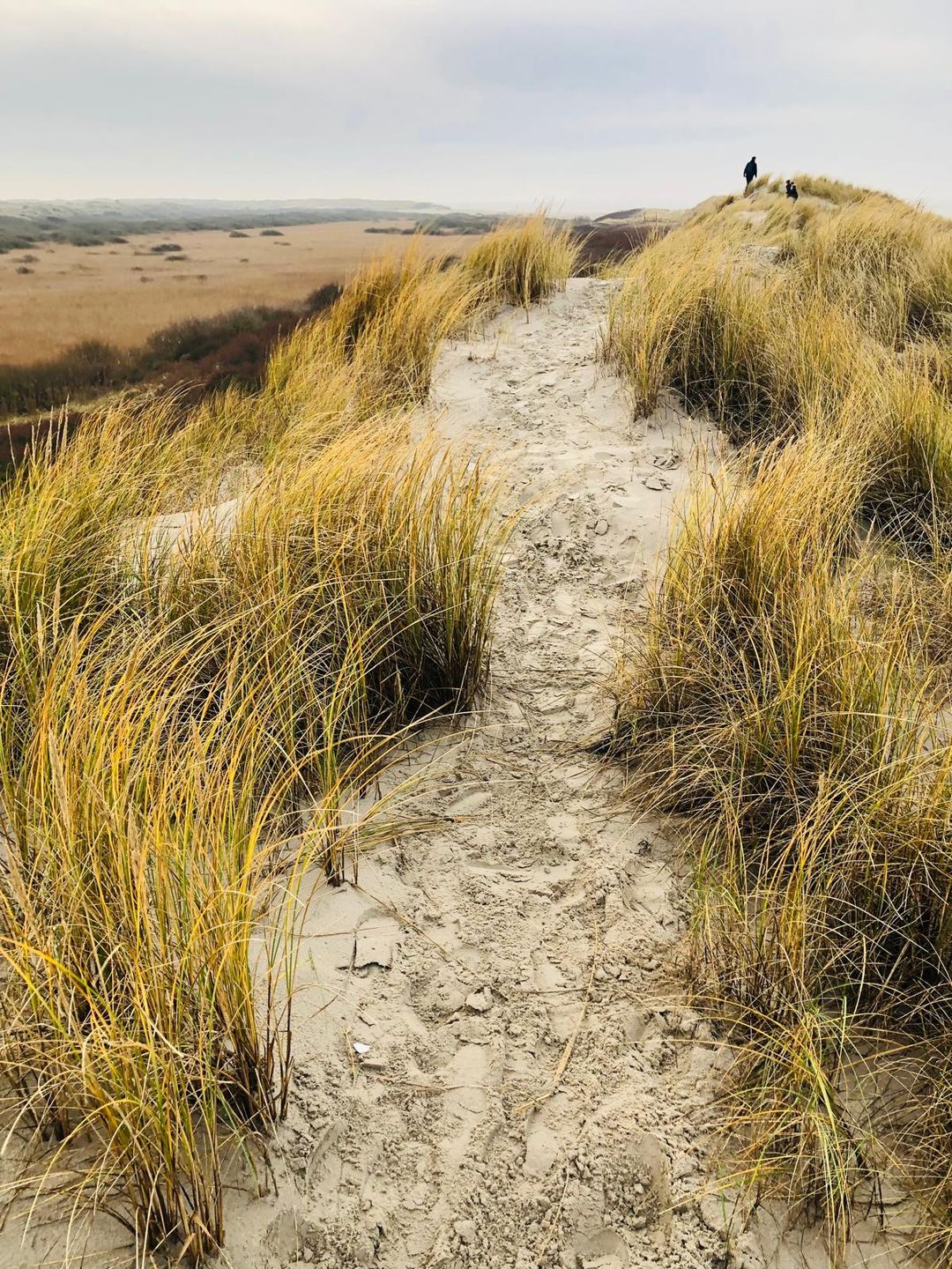 Photo 37 of Vuurtorenpark 216