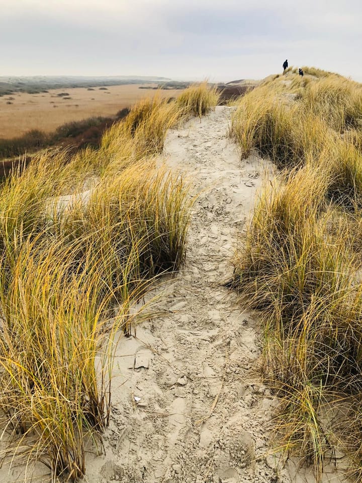 Foto 37 van Vuurtorenpark 216