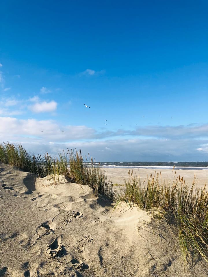 Foto 38 van Vuurtorenpark 216