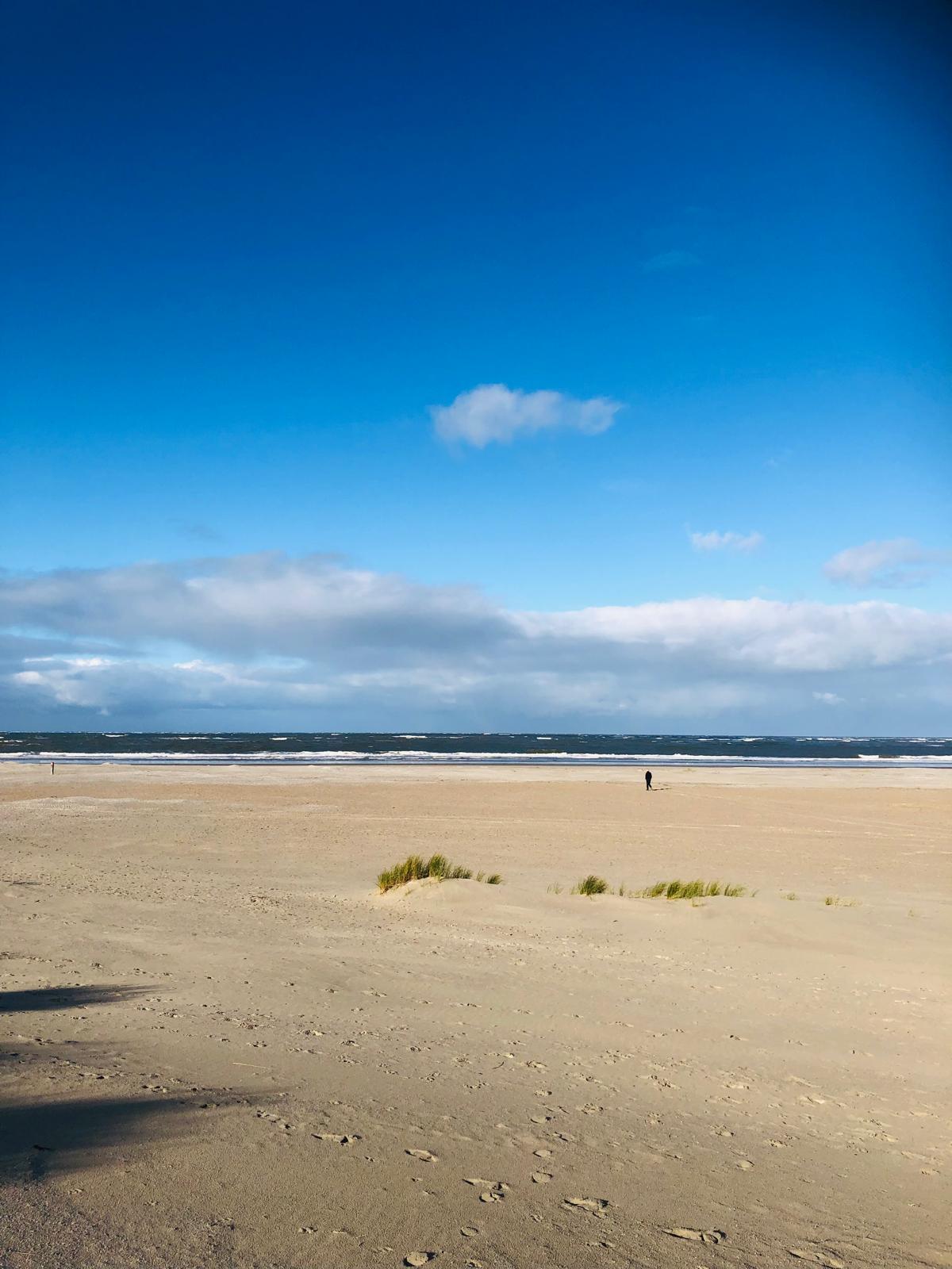 Photo 39 of Vuurtorenpark 216