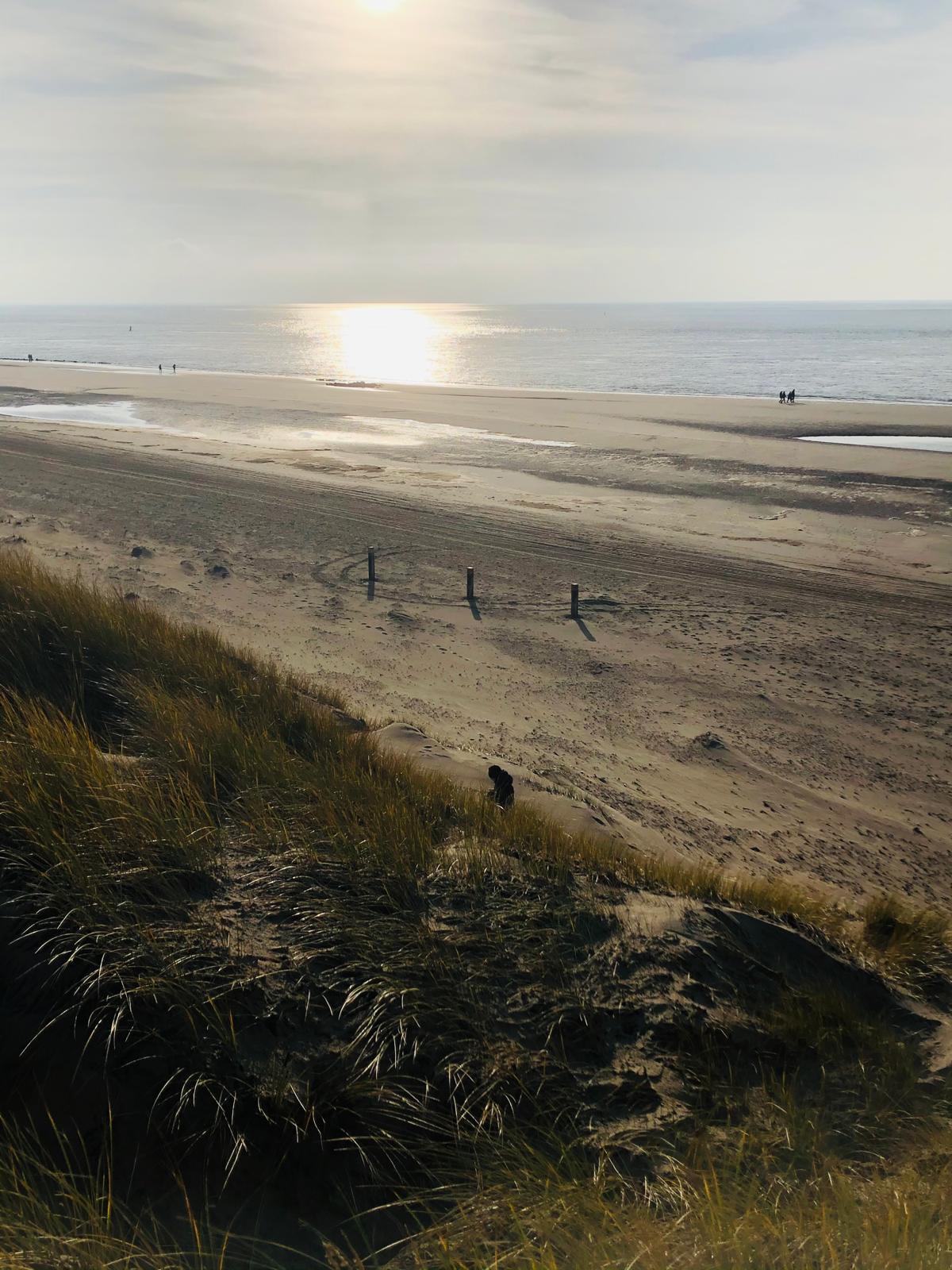 Photo 49 of Vuurtorenpark 216