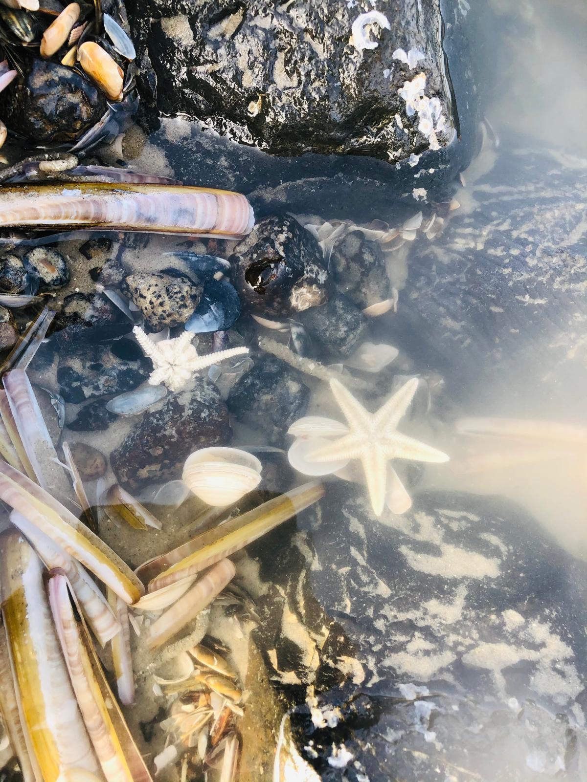 Photo 50 of Vuurtorenpark 216