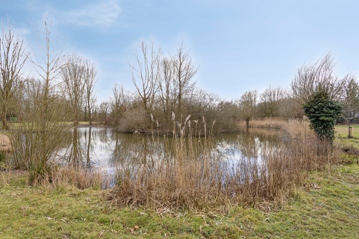 Photo 33 of Jhr. Ruys de Beerenbrouckstraat 11