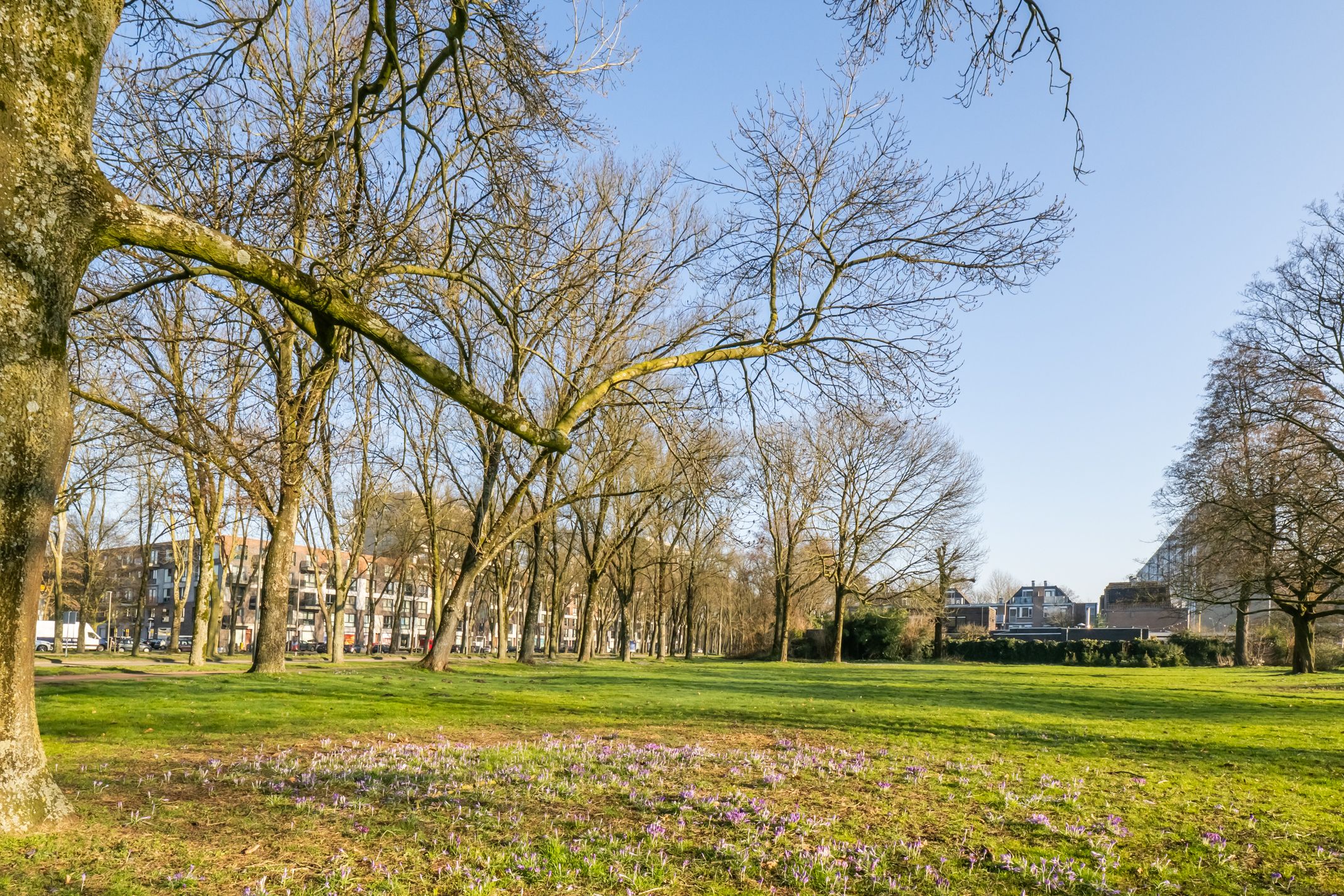 Foto 45 van Einsteindreef 69-A