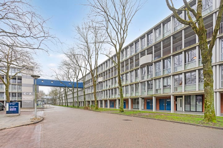 Foto 23 van Benedenlangs 43