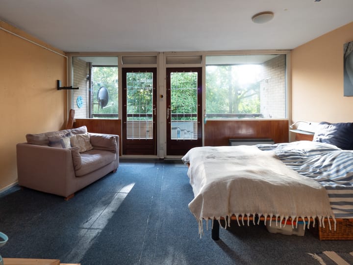 Foto 11 van Tolhuis 2054