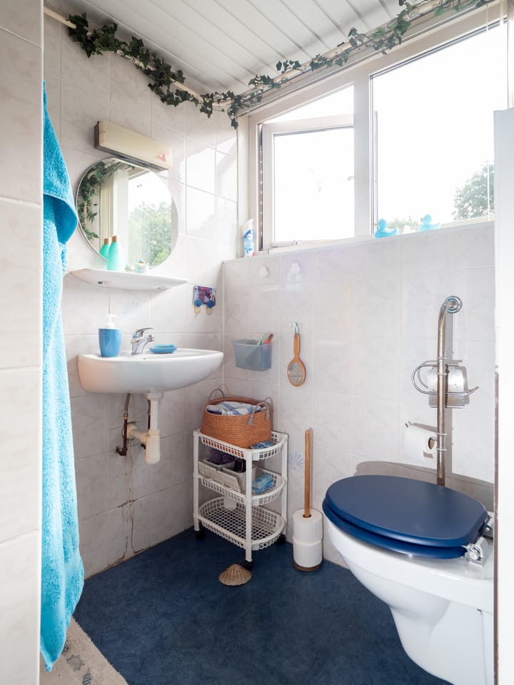 Foto 19 van Tolhuis 2054