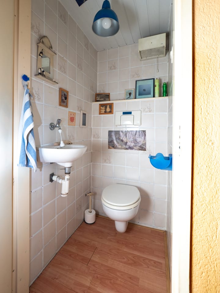 Foto 23 van Tolhuis 2054