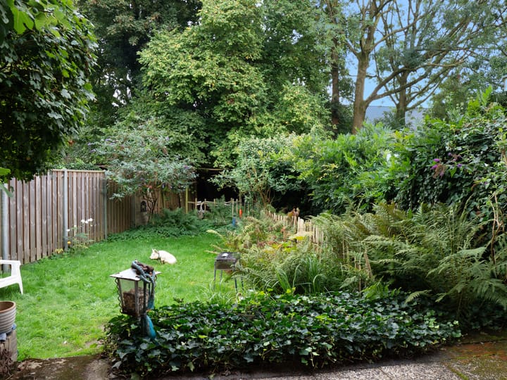 Foto 25 van Tolhuis 2054