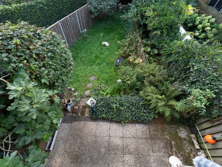 Foto 26 van Tolhuis 2054