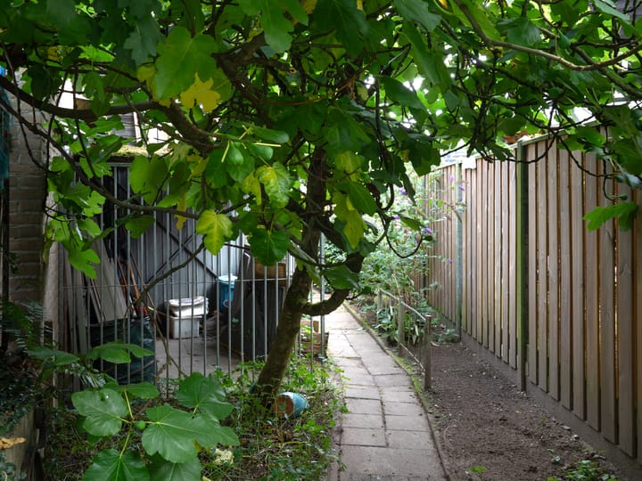 Foto 28 van Tolhuis 2054