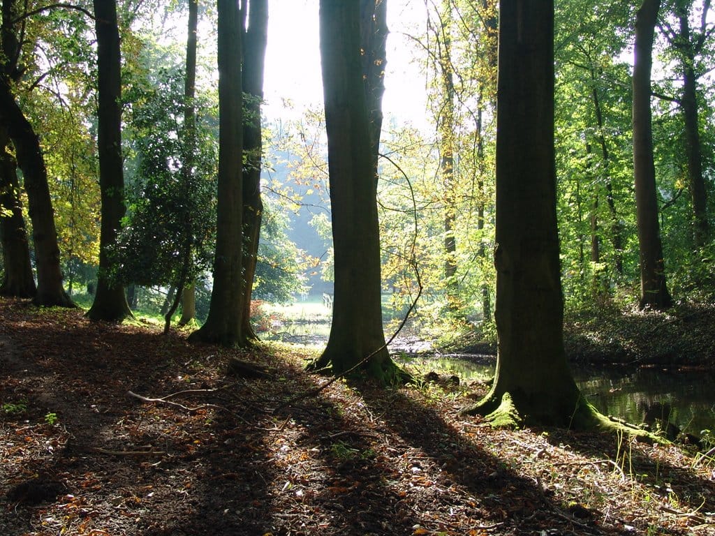 Photo 16 of Park Voorn 1-A