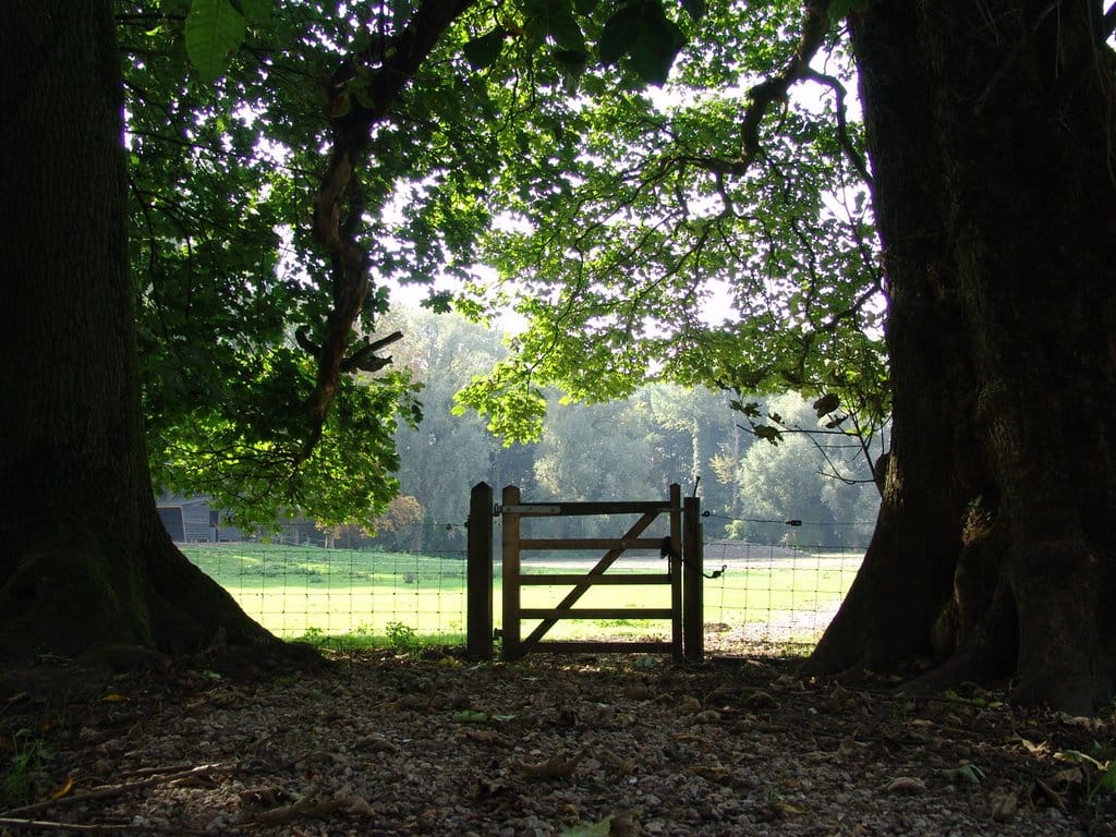 Photo 17 of Park Voorn 1-A