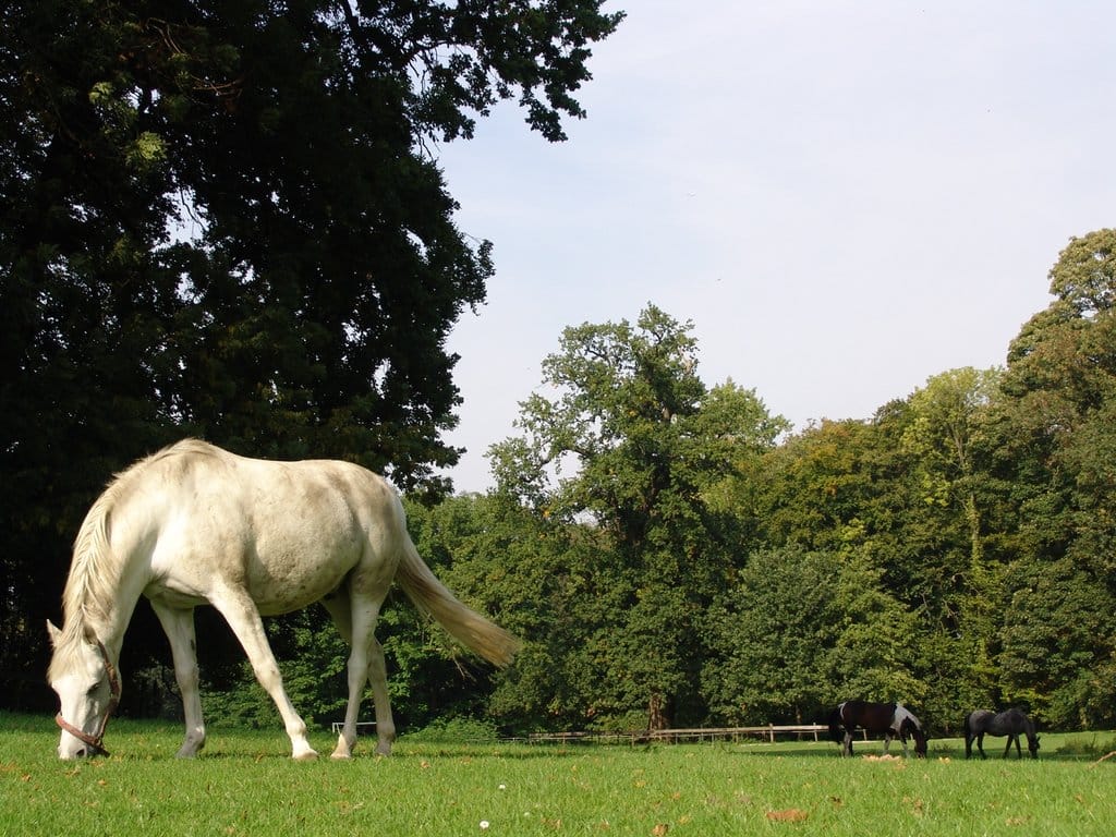 Photo 18 of Park Voorn 1-A