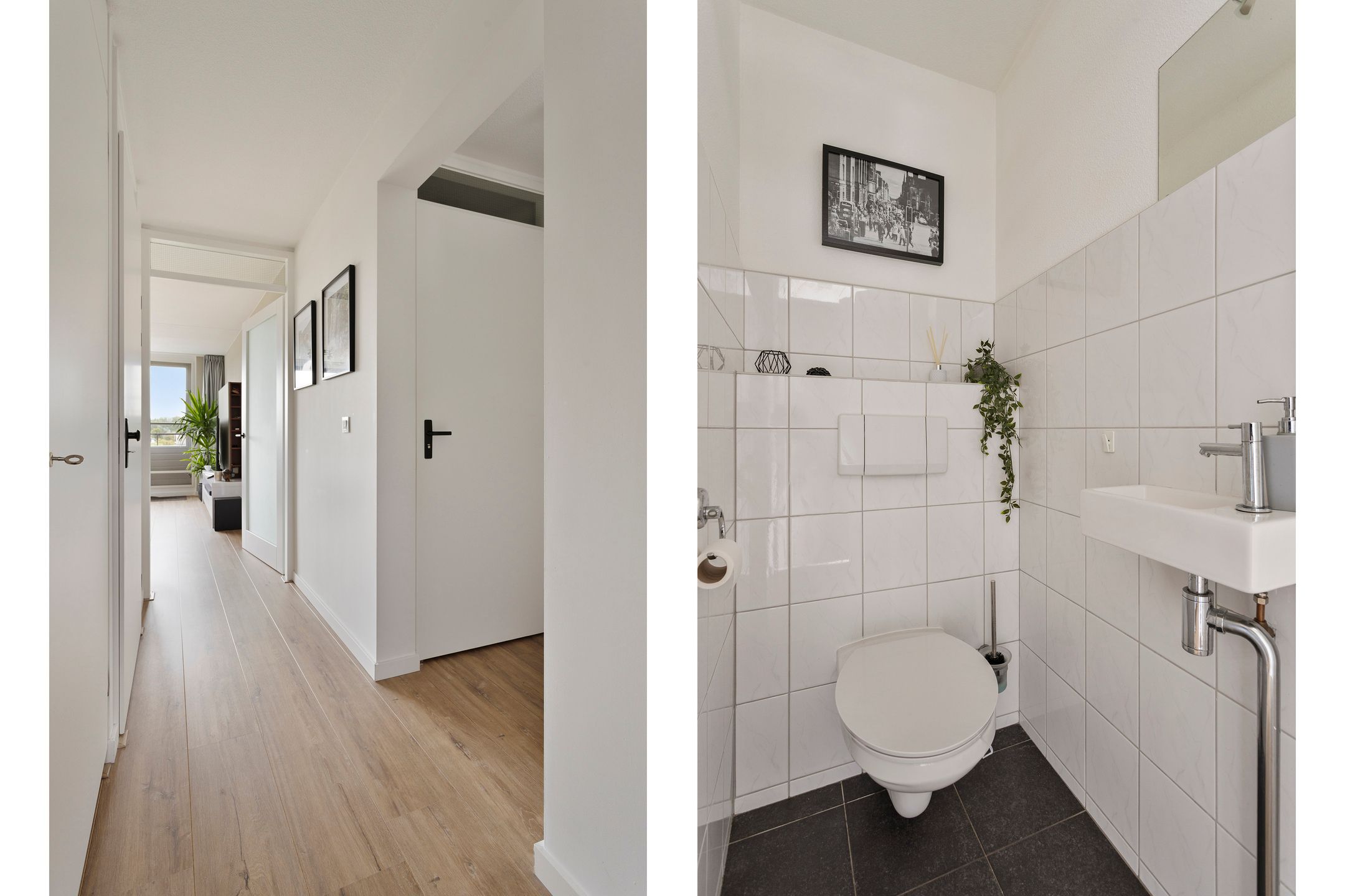 Foto 3 van Schout van Raesfeltstraat 57