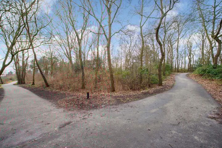 Photo 29 of Waalsdorperweg 19