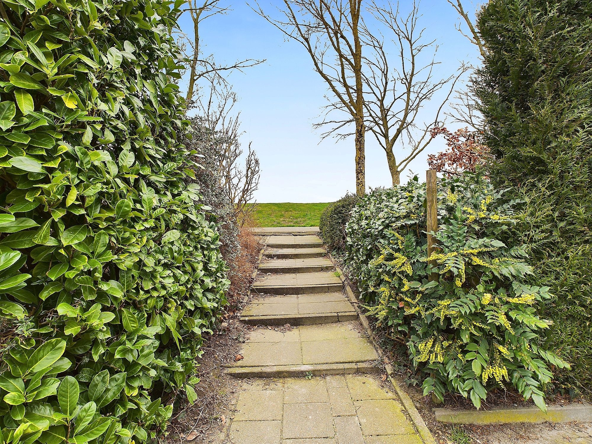 Foto 39 van Clivialaan 5