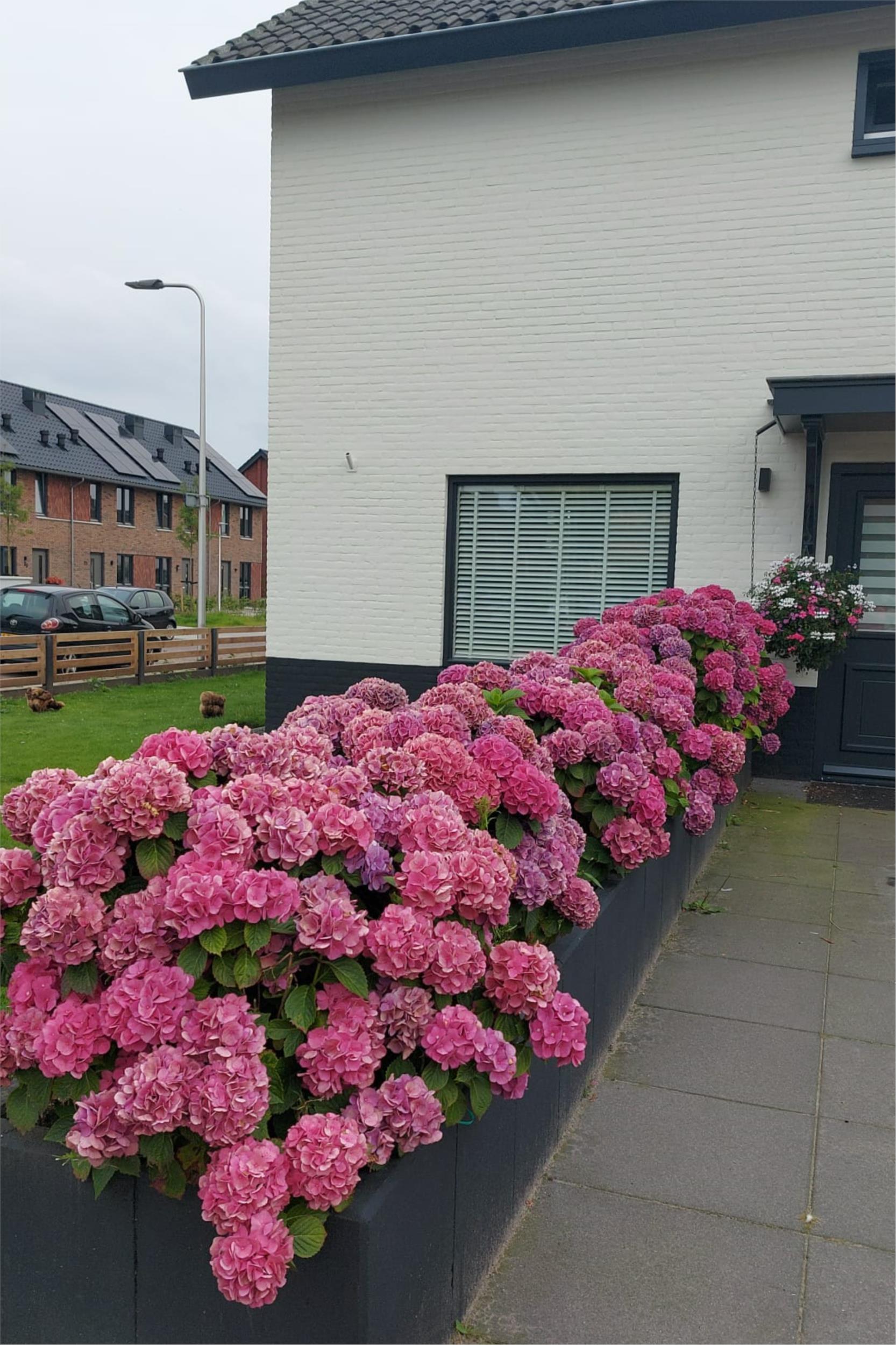 Foto 39 van Boskampstraat 18