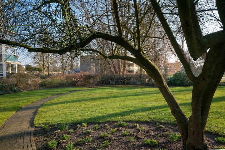 Foto 39 van Hofstraat 37