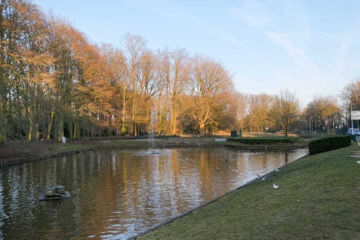 Foto 42 van Hofstraat 37