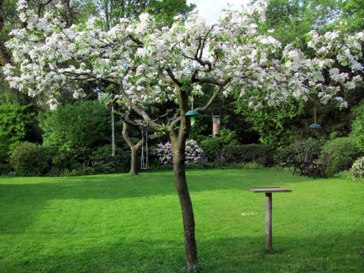 Foto 49 van Hulstheuvel 20