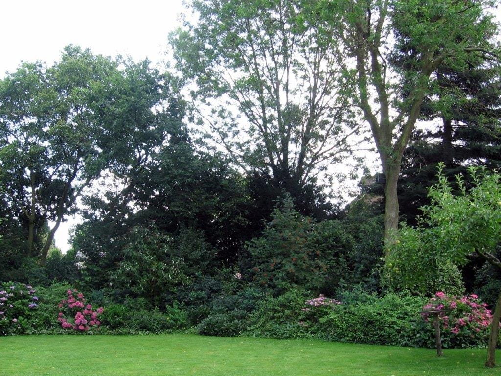 Foto 50 van Hulstheuvel 20