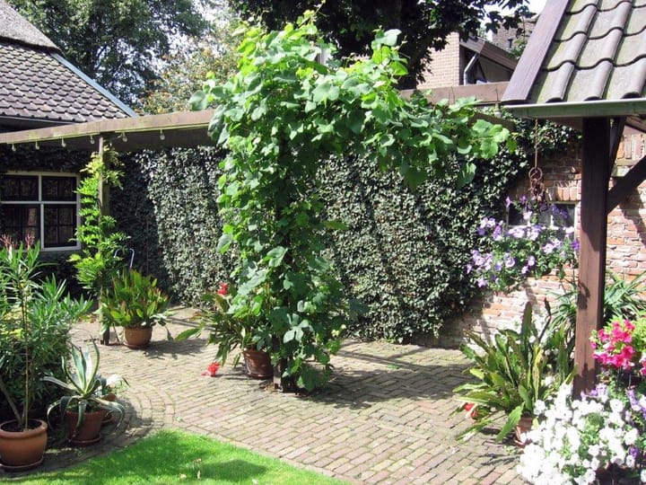 Foto 52 van Hulstheuvel 20