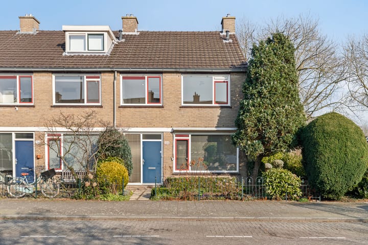 Bekijk foto van Balsemkruid 108