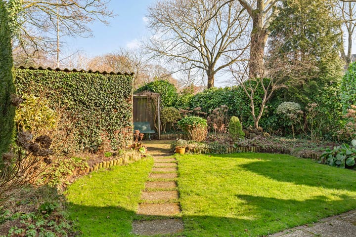 Foto 4 van Balsemkruid 108