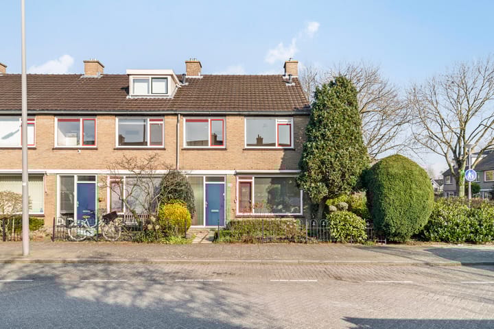 Foto 5 van Balsemkruid 108