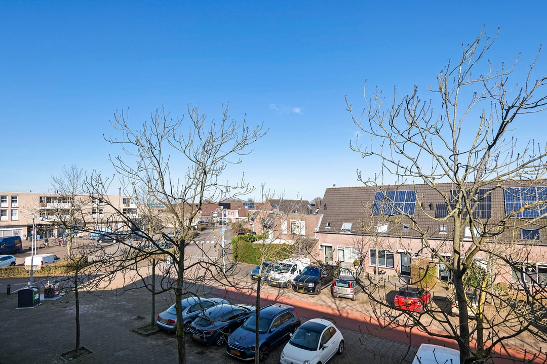 Photo 47 of Assinkbos 7