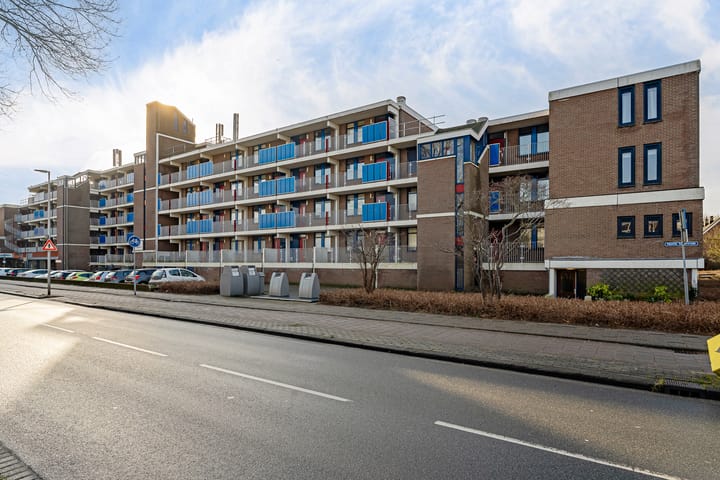 Foto 6 van Hannie Schaftrode 48