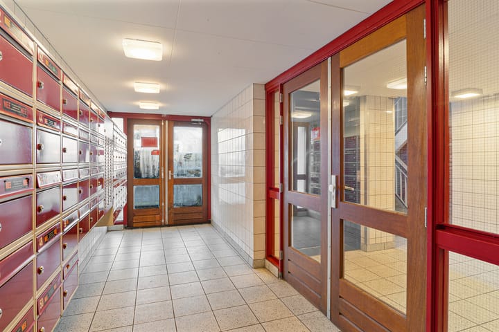 Foto 12 van Hannie Schaftrode 48