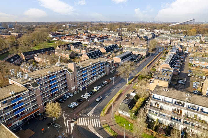 Foto 42 van Hannie Schaftrode 48