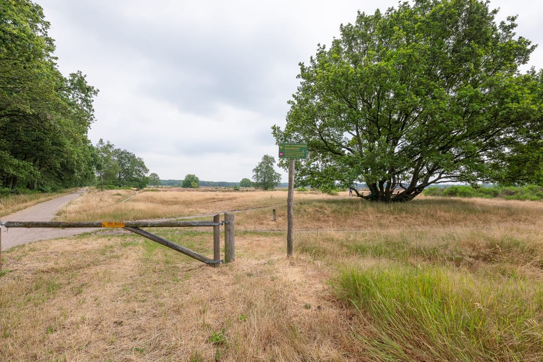 Foto 31 van Lange Heul 418