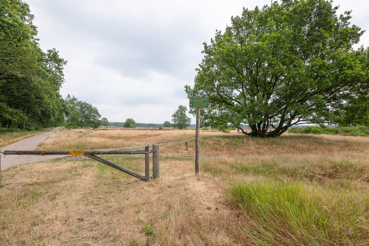 Foto 31 van Lange Heul 418