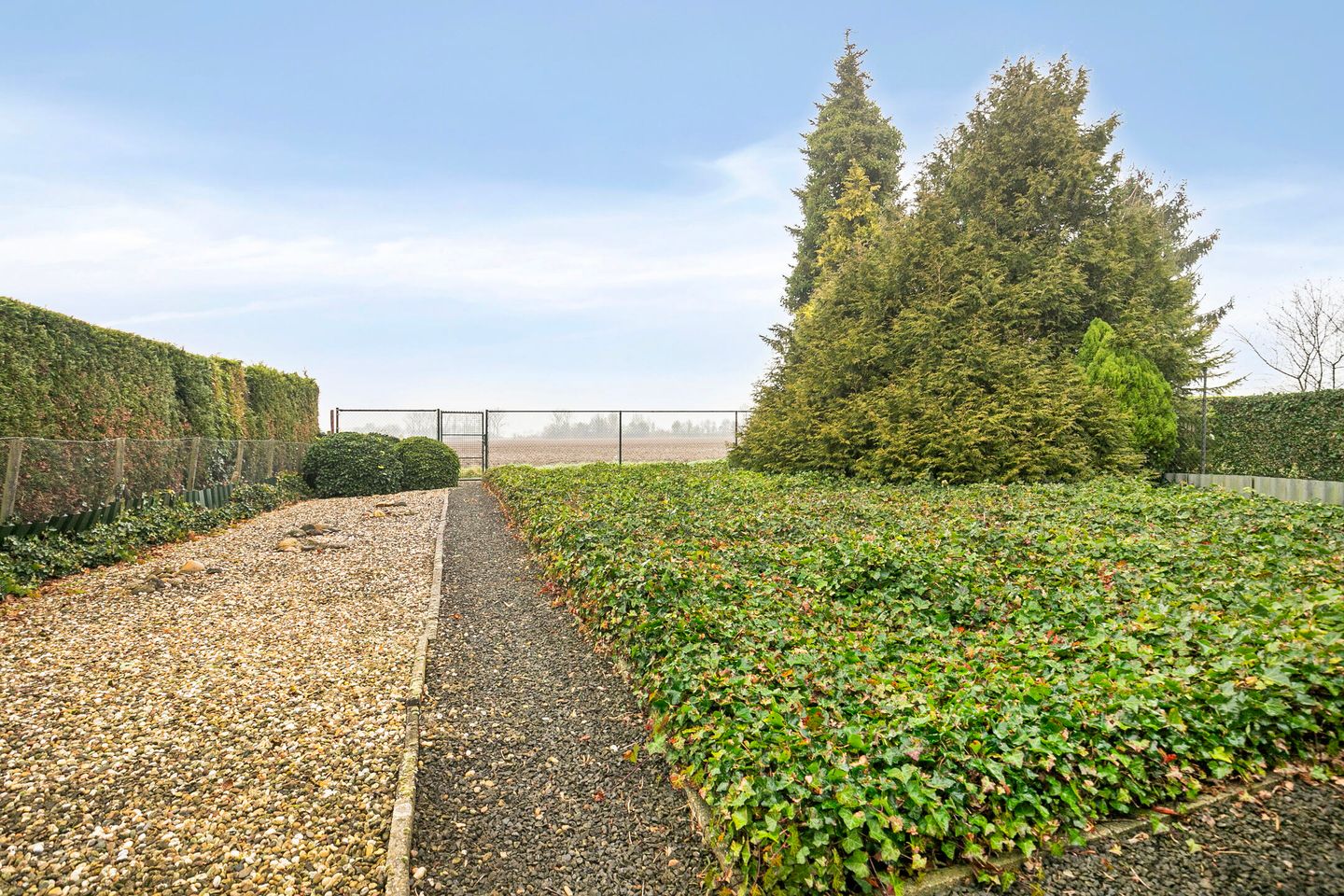 Foto 4 van van Gistellelaan 41