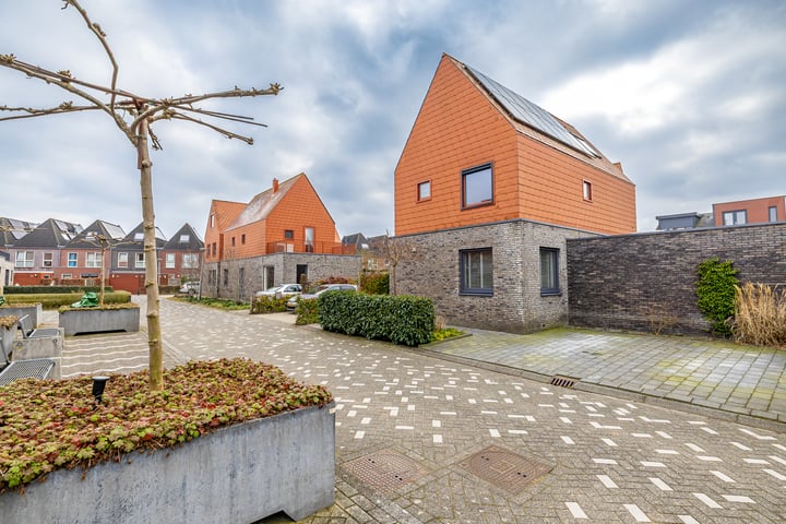Bekijk foto van Okswerd 10