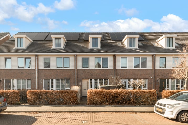 undefined main image