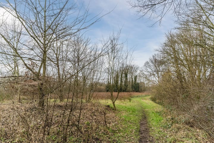 Foto 29 van Gascognehof 14