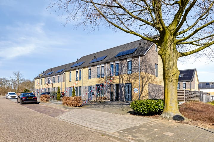 Foto 4 van Prof.Van der Leeuwstraat 50