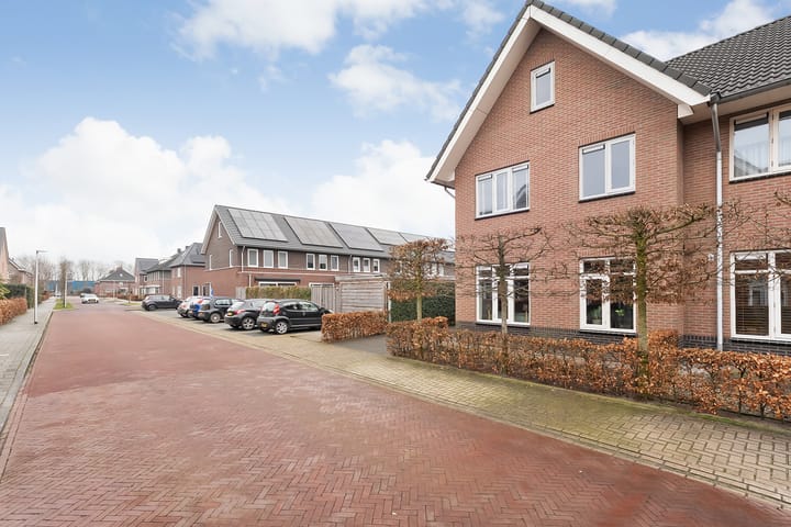 Foto 2 van Boekweitveld 36